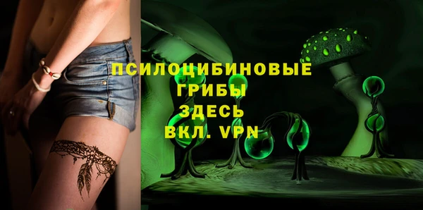 PSILOCYBIN Алексин