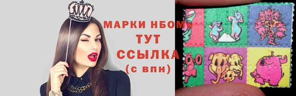 индика Алзамай