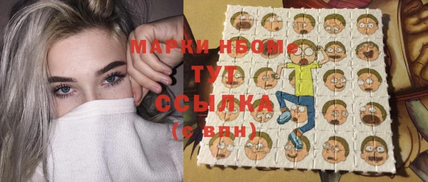 индика Алзамай