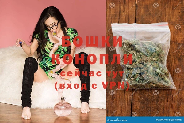 дурь Алексеевка