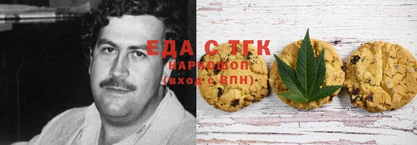 индика Алзамай